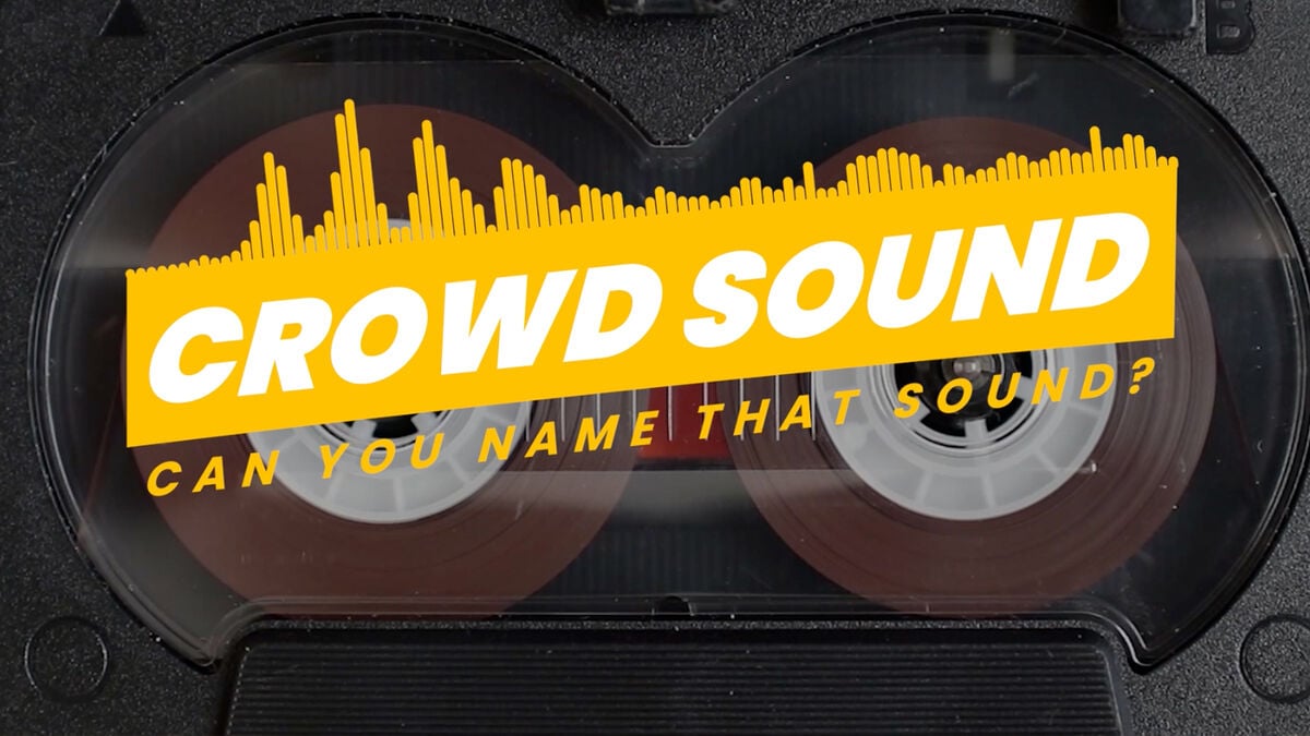 Crowd Sound image number null